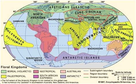 Biogeographic region | Britannica.com