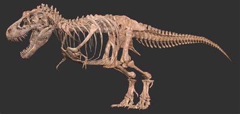 ArtStation - Tyrannosaurus skeleton