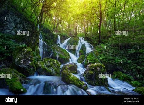 Beautiful waterfall cascade in lush green forest Stock Photo - Alamy