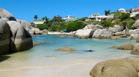 Boulders Beach in Simon's Town - Tours and Activities | Expedia.ca