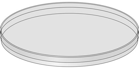 Plato De Petri Vidrio Ciencia Agar - Gráficos vectoriales gratis en ...