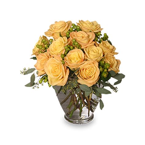 COOL YELLOW SUNRISE Yellow Roses Bouquet - Winnipeg Florist Dragonfly ...