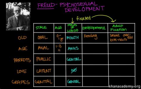 🐈 Freud psychological stages of development. Freud vs. Erikson: Comparing Theories of ...