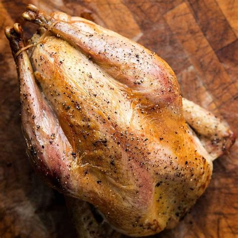 Roast Pheasant Recipe Recipe | Recipes.net