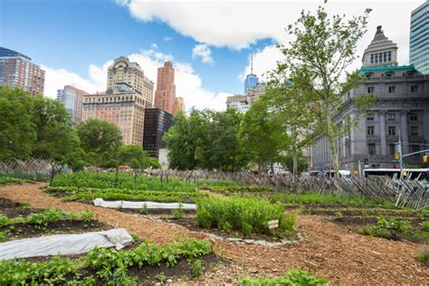 Urban Farming 101: How To Start An Urban Farm - Earth911.com