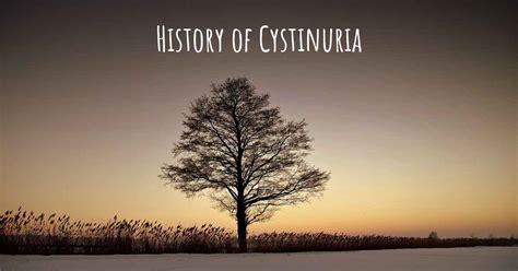 What is the history of Cystinuria?