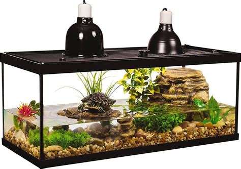 turtle tank decor