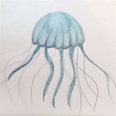 How to Draw a Jellyfish With Moving Tentacles - basicdraw.com