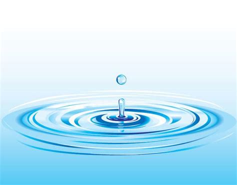 Realistic Water Drop Splash Vector | Water drops, Water drop logo, Water ripples