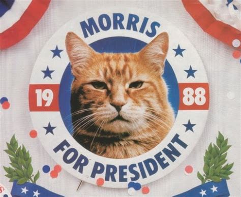 Morris the Cat First Feline Presidential Candidate - Love Meow