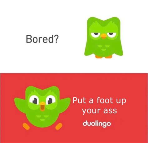 Duolingo memes are on the rise with crazy potential! : r/MemeEconomy