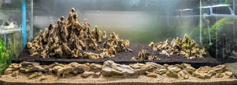 Seiryu Stone for Aquascaping & Decoration • Practical Guide