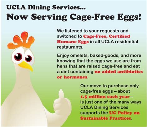 Cage-free Eggs | UCLA Sustainability