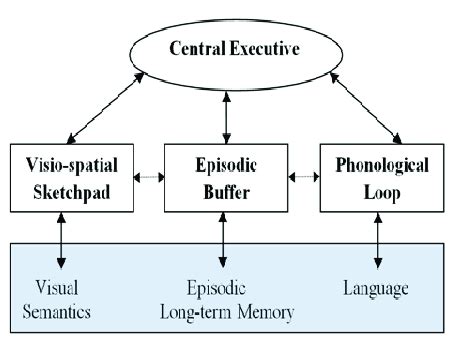 Conceptualization of WM model (Baddeley & Hitch, 1974) In 2012,... | Download Scientific Diagram