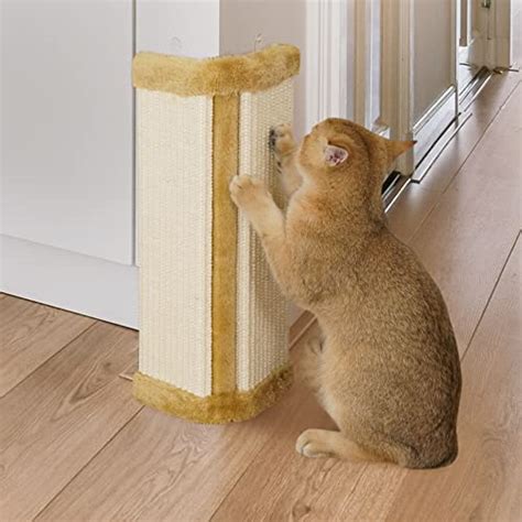 The 8 Best Wall-Mounted Cat Scratchers Of 2020