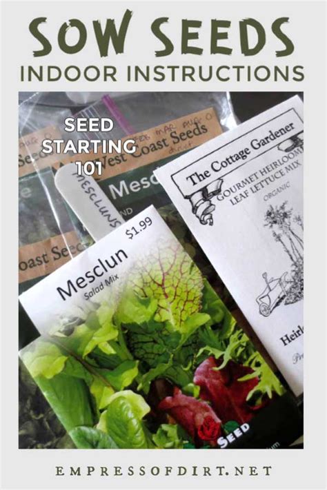 How to Sow Seeds Indoors Step-by-Step | Empress of Dirt