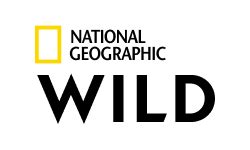 National Geographic Wild HD sledujte online v národnom online kine ...