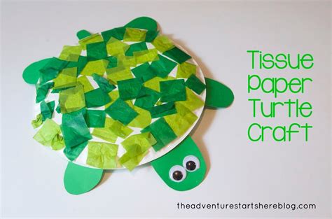 5 Fun Turtle Crafts - DIY Thought | Turtle crafts, Preschool crafts ...