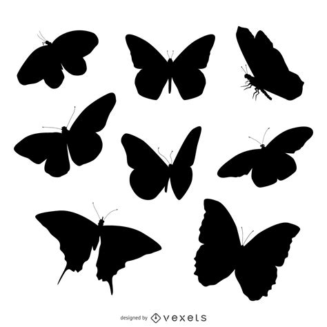 Butterfly Silhouette Illustration Set Vector Download