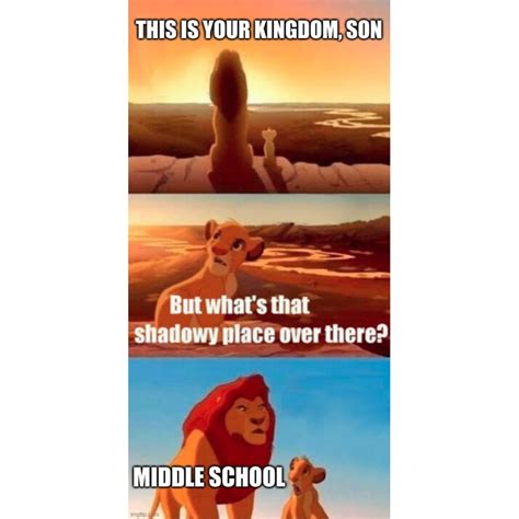 Simba Shadowy Place meme : r/memes