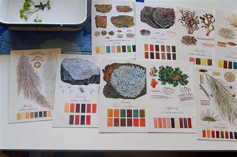 Charity item from S. : lichen color chart postcards about | Etsy | Postcard, Metal plant markers ...