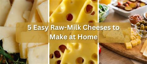 5 Easy Raw-Milk Cheeses to Make at Home: A Beginner's Guide — Prairies ...