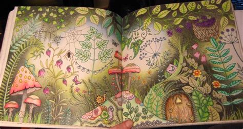 Coloring Books Enchanted Forest - Coloring Pages