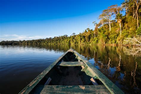 Things To Do in Peru’s Amazon Rainforest All You Need to Know