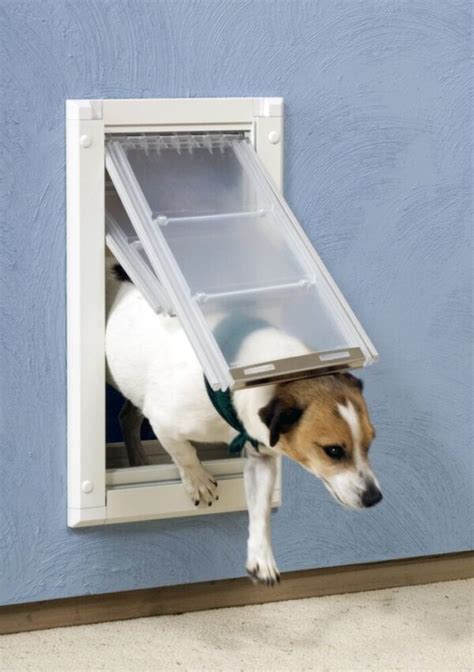 Wall Mount Single flap Pet Door - Dog Doors for Walls - In Wall Pet Door