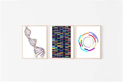 Set of 3 DNA Genetic Code Color Poster Printable Wall Art | Etsy