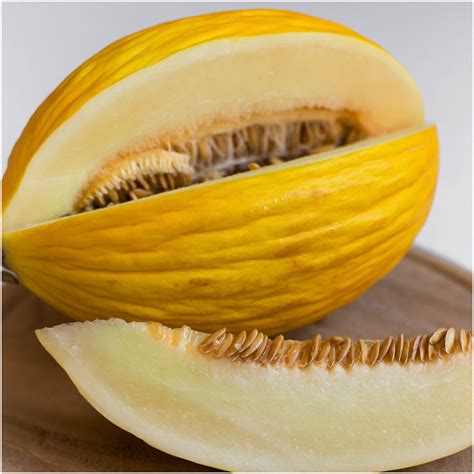 Canary Melon Seeds (Cucumis melo) – Seed Needs LLC