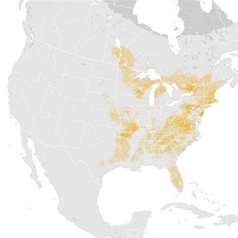 Eastern Whip-poor-will - Abundance map: Pre-breeding migration - eBird ...