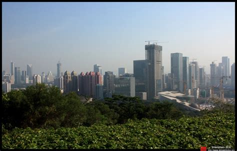 Shenzhen Futian District 2014 Photo Gallery