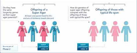 About the Study | Longevity Genes Project | Institute for Aging Research | Albert Einstein ...