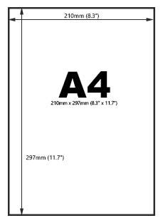 The Folder People-Understanding Paper Sizes-Understanding Paper Sizes