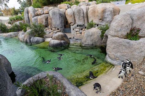 Peru İptal hareket zoo top 20 borç yankılanma meyve bahçesi