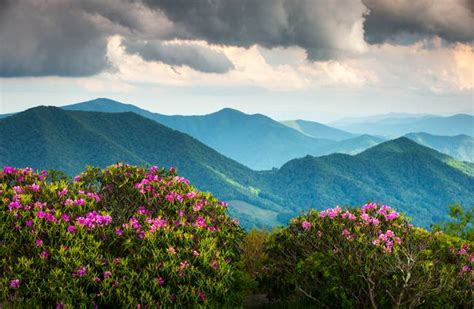 Stunning "Appalachian Trail" Artwork For Sale on Fine Art Prints