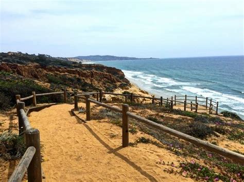 All You Need to Know About Torrey Pines Hiking Trails | San diego travel, San diego travel guide ...