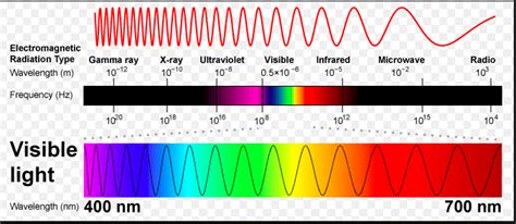 Visible light spectrum Diagram | Quizlet