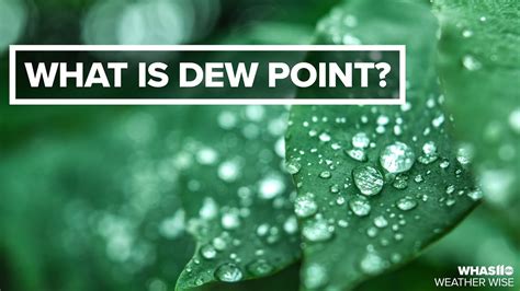 What is dew point? | Weather Wise Lessons - YouTube