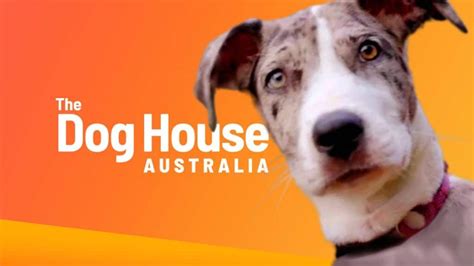 The Dog House Australia Season 3 Episode 2: Release Date & Streaming Guide - OtakuKart