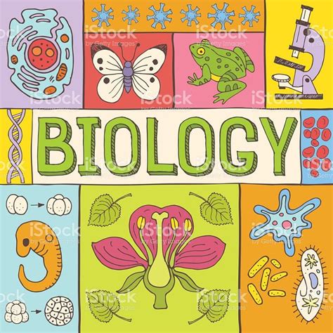 Biology hand drawn colorful vector illustration with doodle icons,... | Biology poster, Biology ...