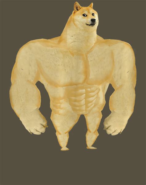 Swole Dog Buff Dog Digital Art by Canh Cham Do - Fine Art America