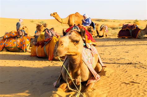 Our Jaisalmer Desert Safari Experience (Rajasthan, India) - We Are From Latvia