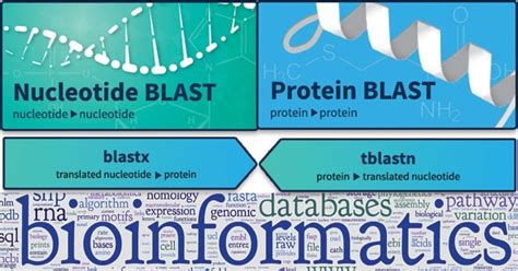 What are FASTA and BLAST? An Introduction