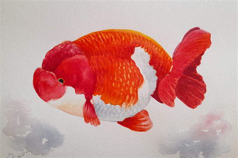 Goldfish Art, Medieval Art, Ceramic Painting, Rooster, Ceramics ...