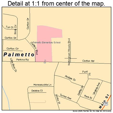 Palmetto Georgia Street Map 1358884