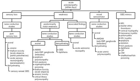 acute polyneuropathy