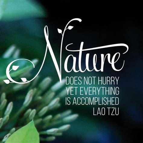 Nature does not hurry, yet everything is accomplished. Lao Tzu | Lao ...