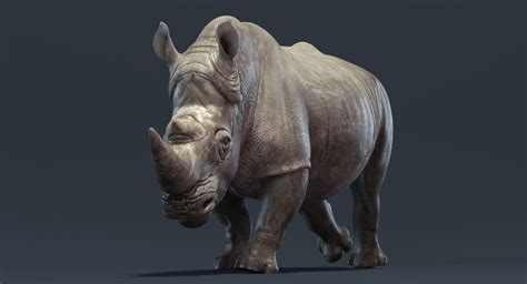 Big rhino animation 3D model - TurboSquid 1344943